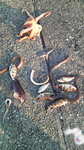 20100502_つり.jpg