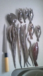 20100502_つり2.jpg