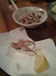 2011-01-14 20.33.35.jpg