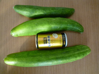 P1030621-.jpg